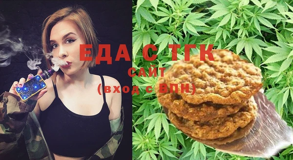 индика Балахна