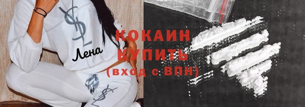 индика Балахна