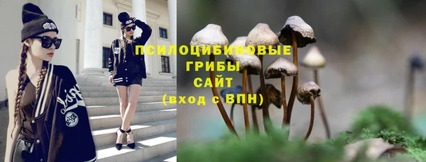 тгк Ростов