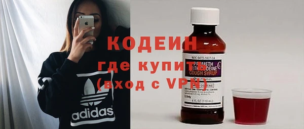 индика Балахна
