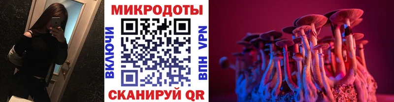 где можно купить   Николаевск-на-Амуре  мега ONION  Псилоцибиновые грибы мухоморы 